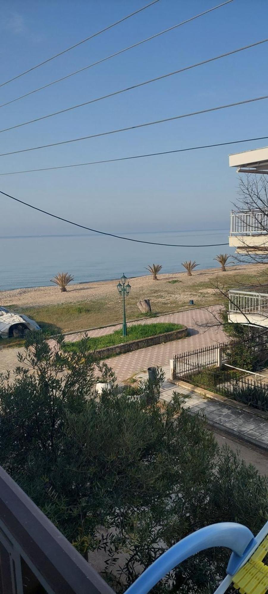 Seaside Studios Paralia Dionisiou Værelse billede